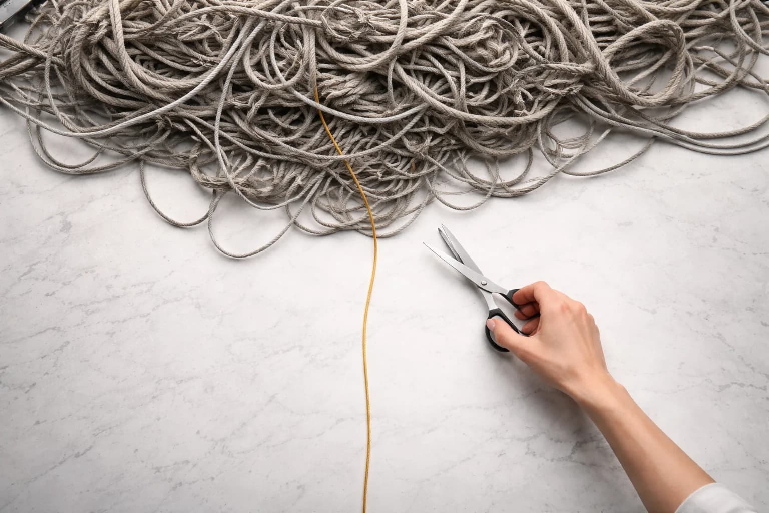 Cover Image for The Simplicity Revolution: Fighting Back Against Unnecessary Complexity